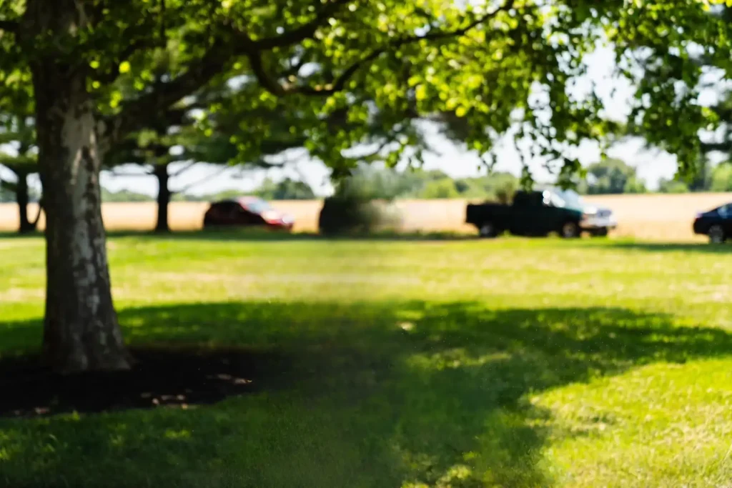 Pressure Washing Gloucester County NJ