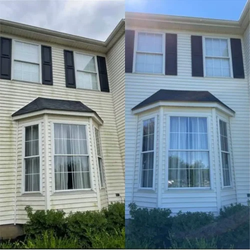 Window Cleaning BAF 2